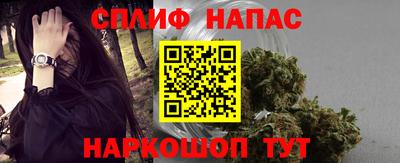 гидра Вязьма
