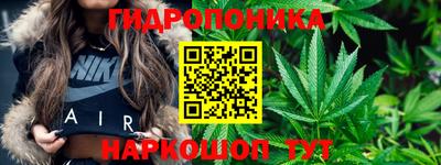 spice Вышний Волочёк