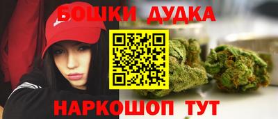 гидра Вязьма