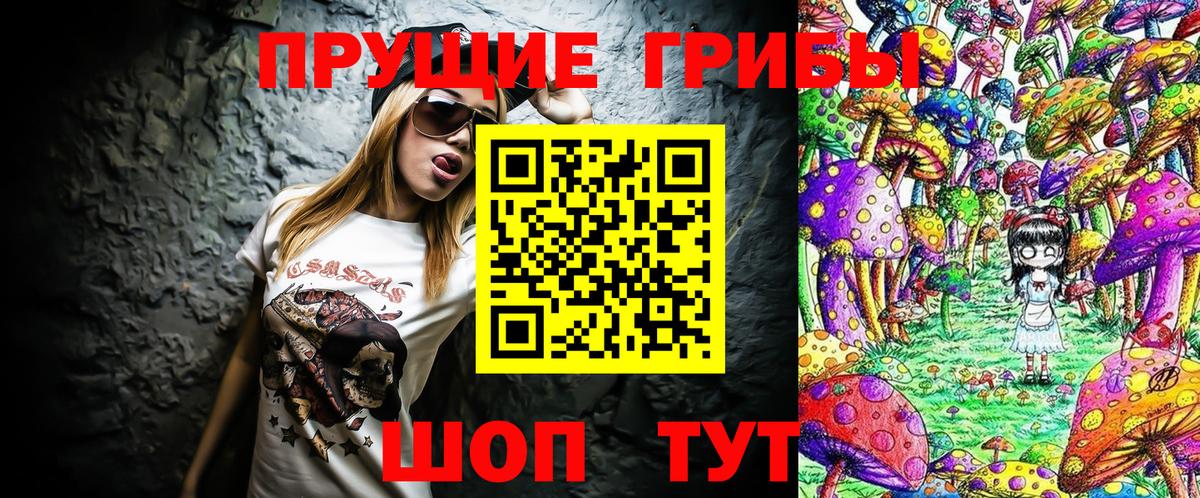 Псилоцибиновые грибы мицелий  купить закладку  Борзя  Вход с VPN 